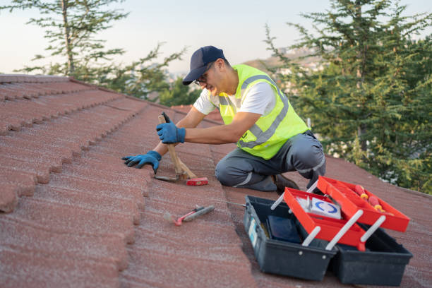Best Metal Roofing Contractor  in Belle, MO